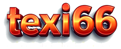 texi66 logo